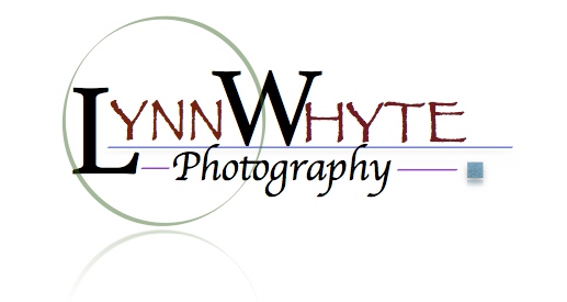 Lynn Whyte Photography